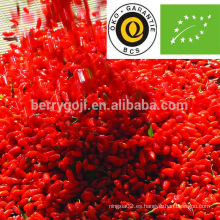 Goji bayas orgánico / goji certificado ecológico